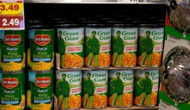 Poland accuses Russia of attack plot involving explosives smuggled in corn tins