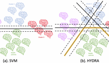 Dissecting real-world memory clinical cohort heterogeneity: analysis of neuroanatomical subtypes using HYDRA | Alzheimer's Research & Therapy