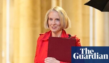 New planning bill could jeopardise UK’s trade deal with EU, ambassador warns | Environment