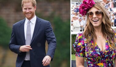 Model Liz Hurley denies taking Prince Harry's virginity