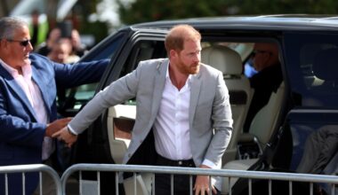 'Body-blocked': Disturbing details emerge after Prince Harry's known stalker came within metres of him twice during recent London visit