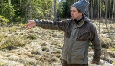 Surnud puu, elav soo – Eesti looduse suurim paradoks