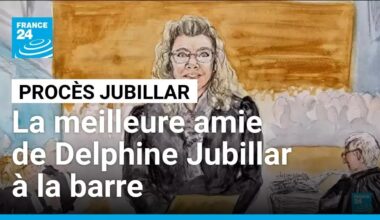 Procès Jubillar : la meilleure amie de Delphine Jubillar à la barre • FRANCE 24