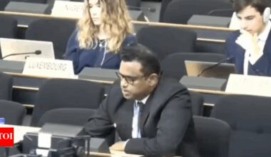 'Deeply ironic': India slams Pakistan at UN; calls out persecution of minorities on its soil | India News