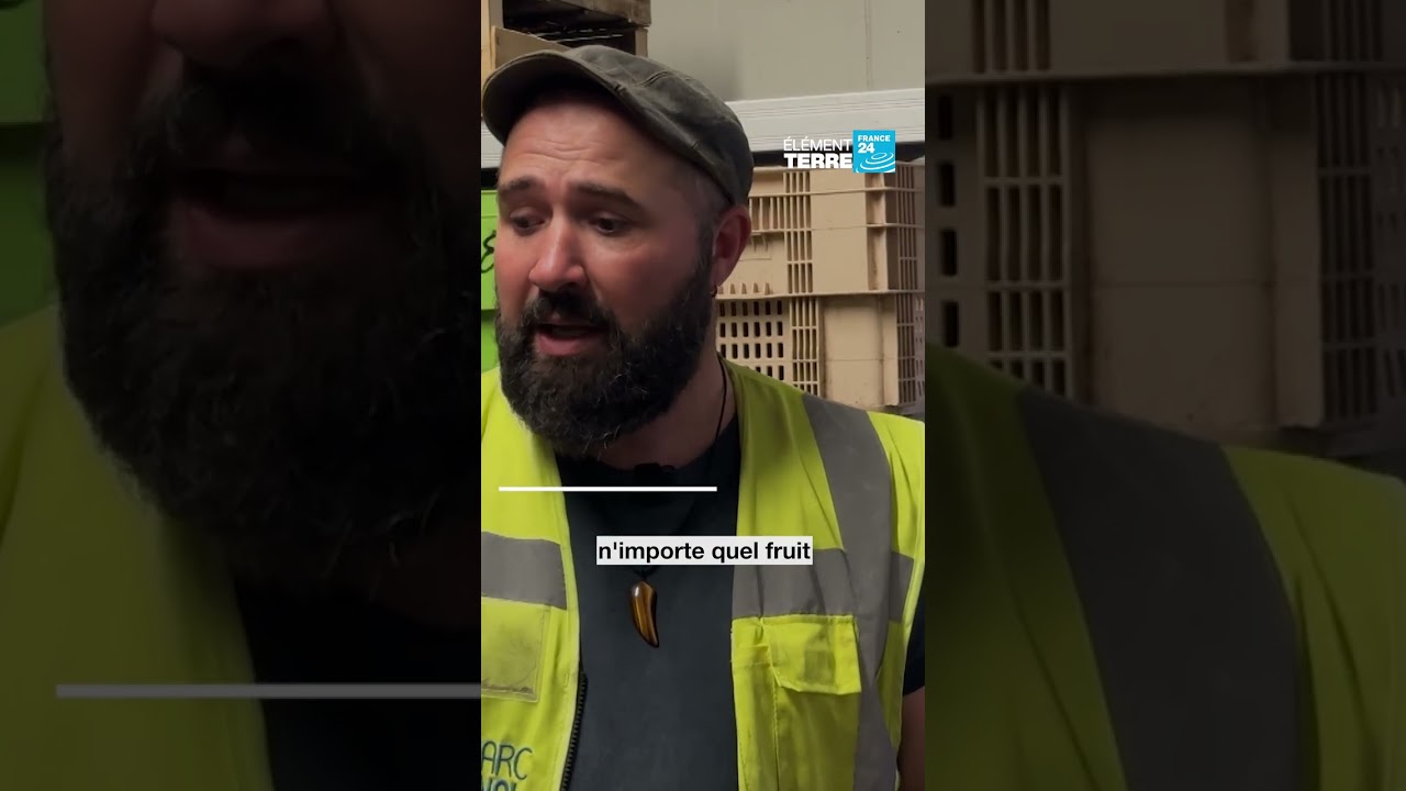 Poules, zoos et supermarchés. Ils donnent une seconde vie à nos déchets. • FRANCE 24