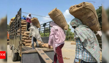 Migrant labour shortage hits Punjab paddy markets | Chandigarh News