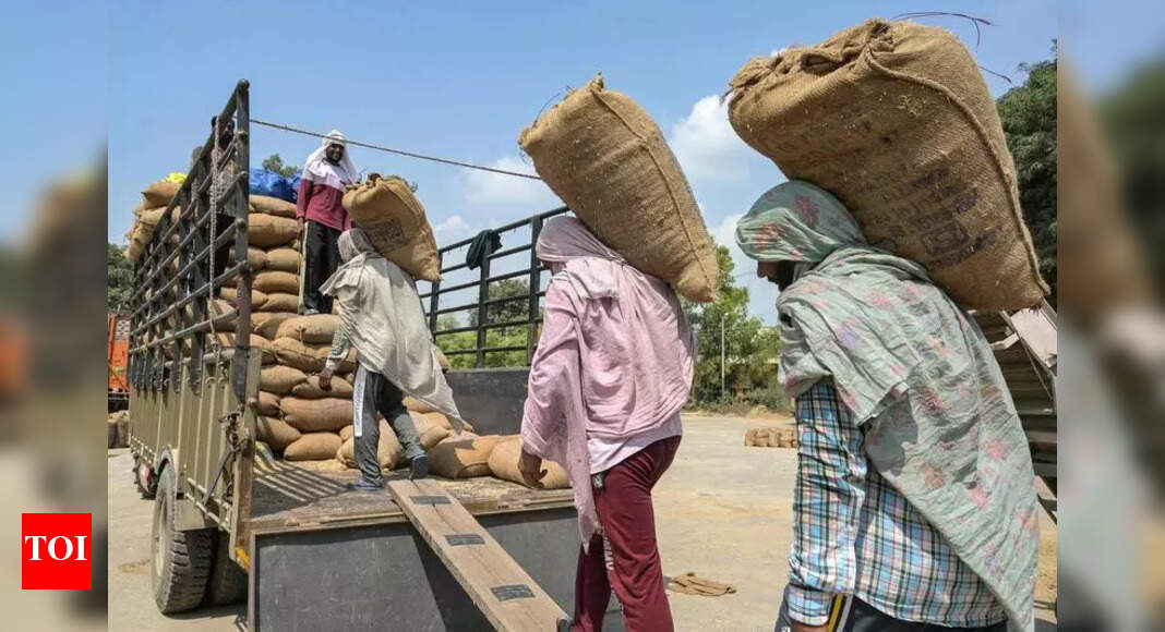 Migrant labour shortage hits Punjab paddy markets | Chandigarh News