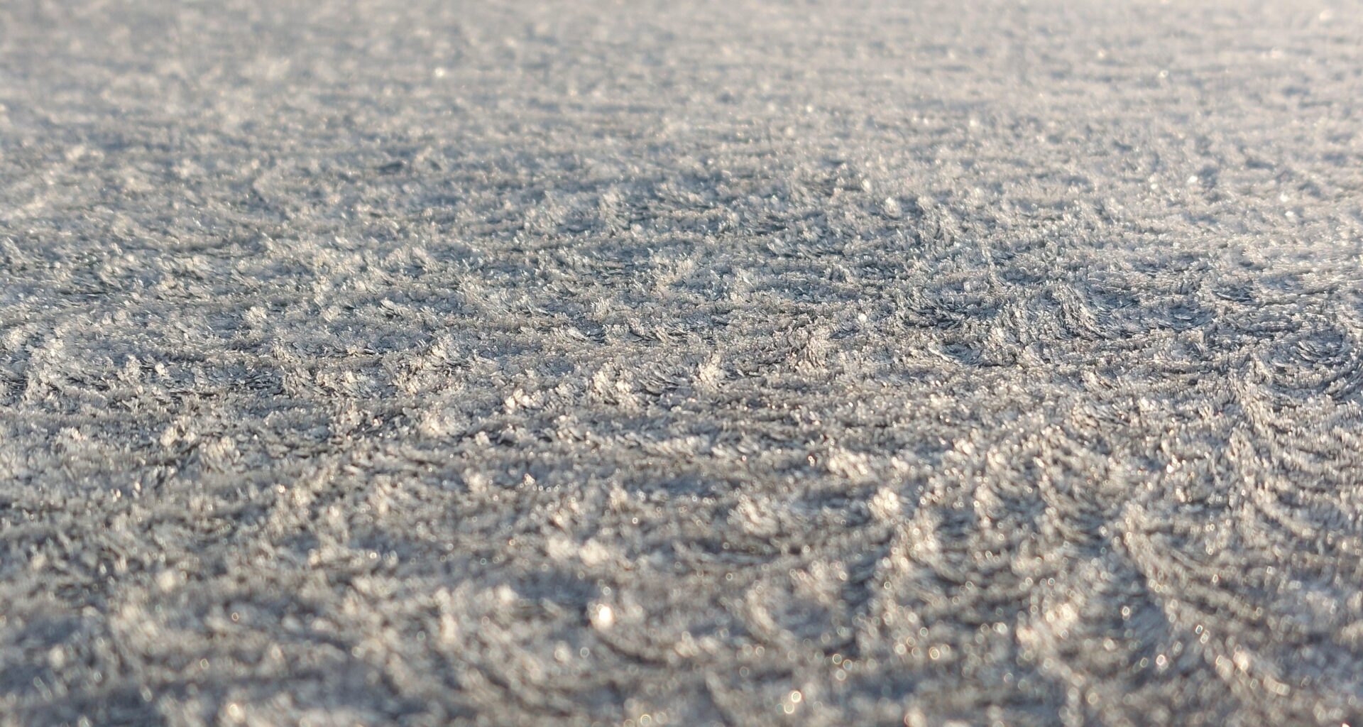Der erste Nachtfrost. Hübsche Eiskristalle.