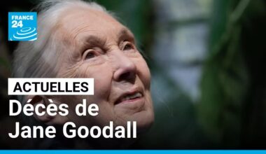 Décès de Jane Goodall : la justice sociale et environnementale chevillée au corps • FRANCE 24