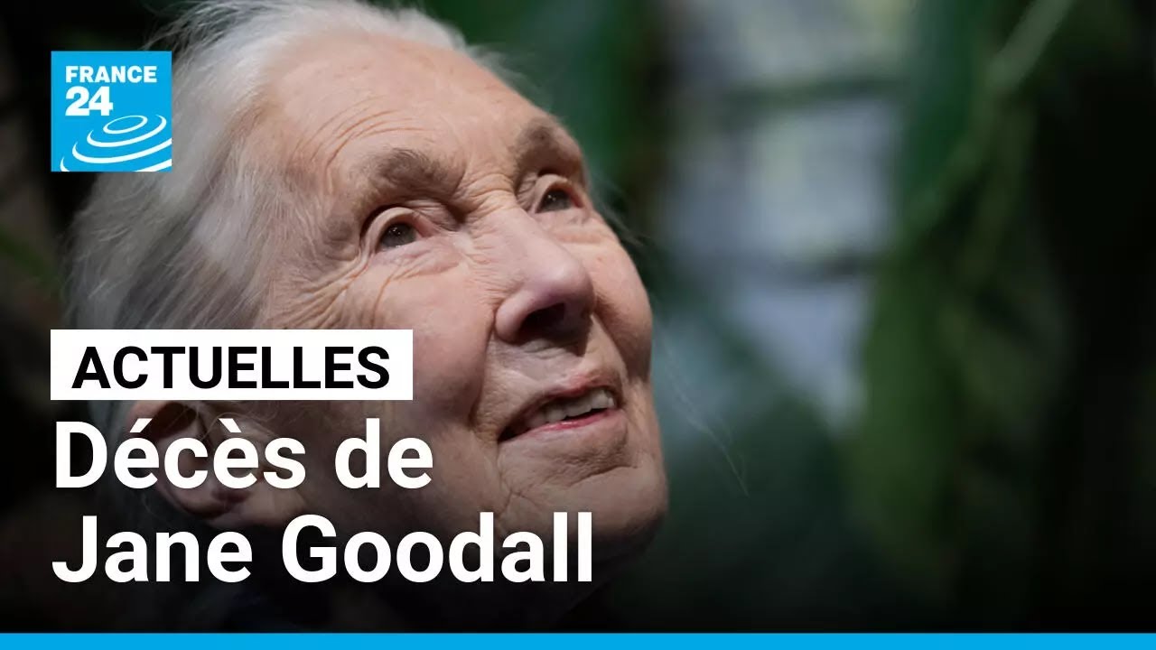 Décès de Jane Goodall : la justice sociale et environnementale chevillée au corps • FRANCE 24