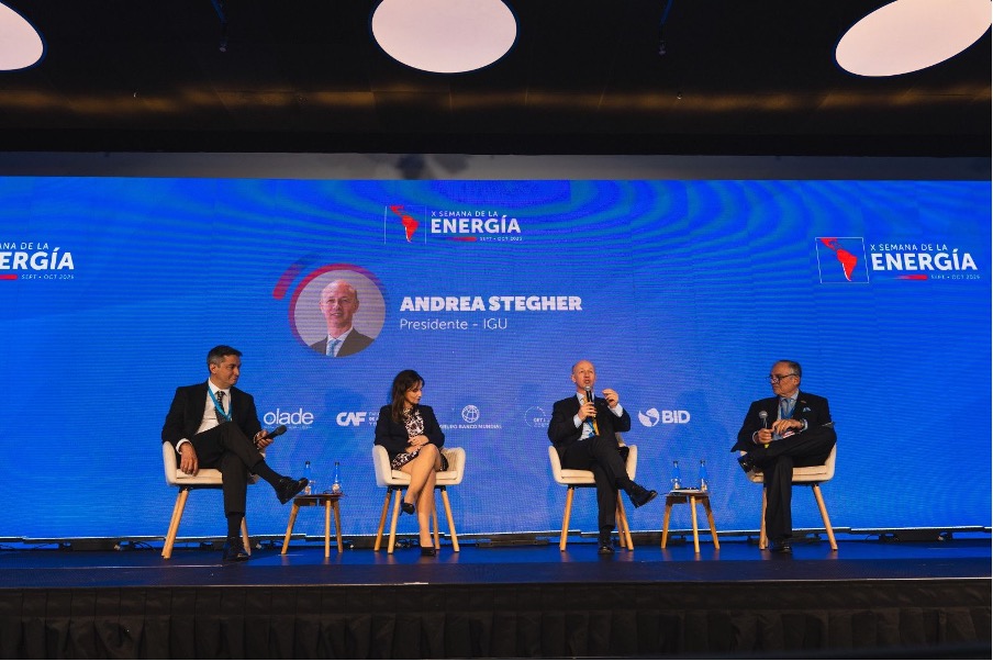 The Latin American Gas Industry and Its Role in the Global Energy Evolution