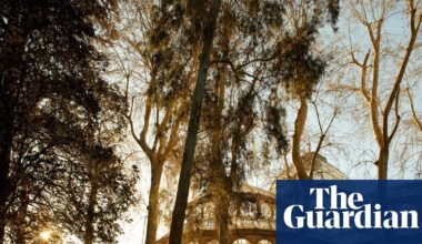 Autumn in Madrid: why Spain’s capital is city-break gold | Madrid holidays