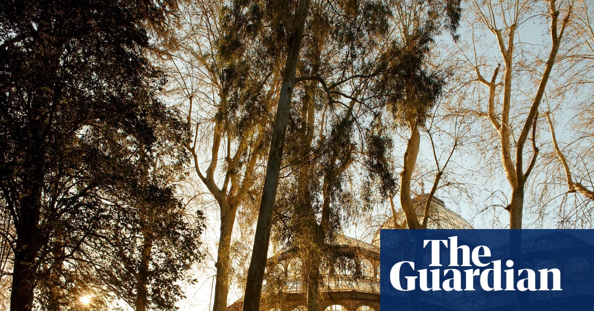 Autumn in Madrid: why Spain’s capital is city-break gold | Madrid holidays
