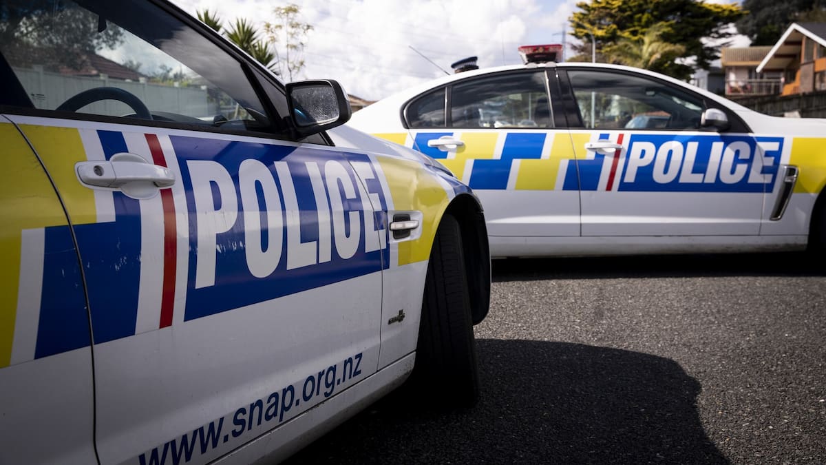 Child dies after serious crash in Papatoetoe, police investigating