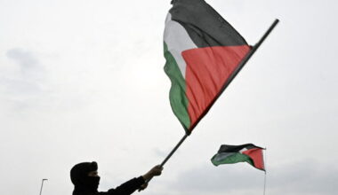 Two Belgians on hunger strike after Gaza flotilla detention