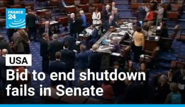 Government funding vote fails again in US Senate • FRANCE 24 English