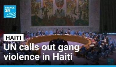 UN votes to authorize 5,550-member international Haiti force • FRANCE 24 English