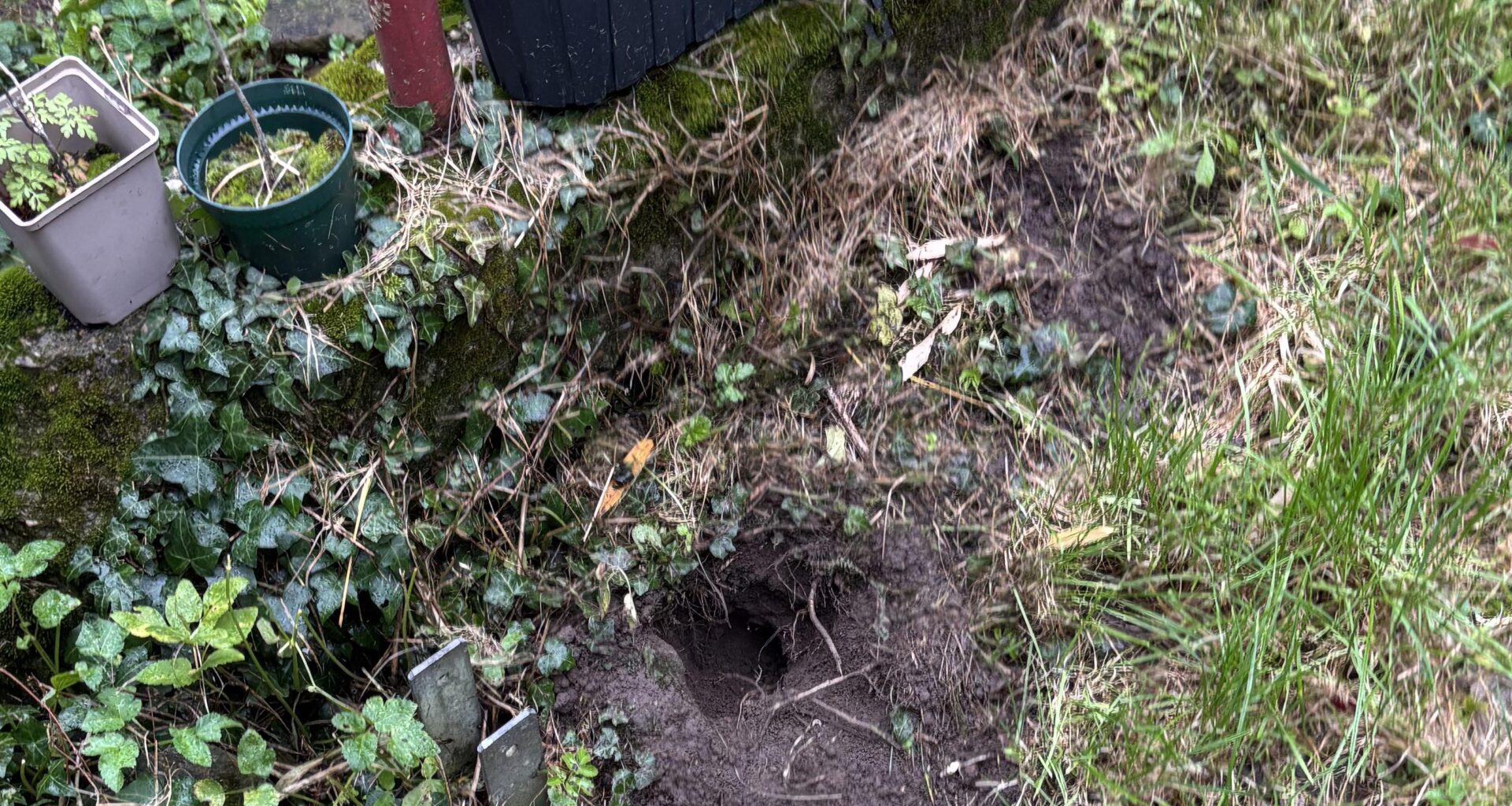 Was macht diese Löcher?