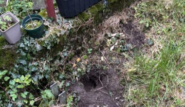 Was macht diese Löcher?