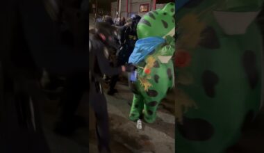 ICE Agents Shoot Pepper Spray into Protester's Frog Costume Air Vent #shorts