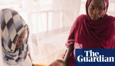 ‘I have searched and searched for help’: the Sudanese women left alone to live hand to mouth in Chad’s desert camps | Chad