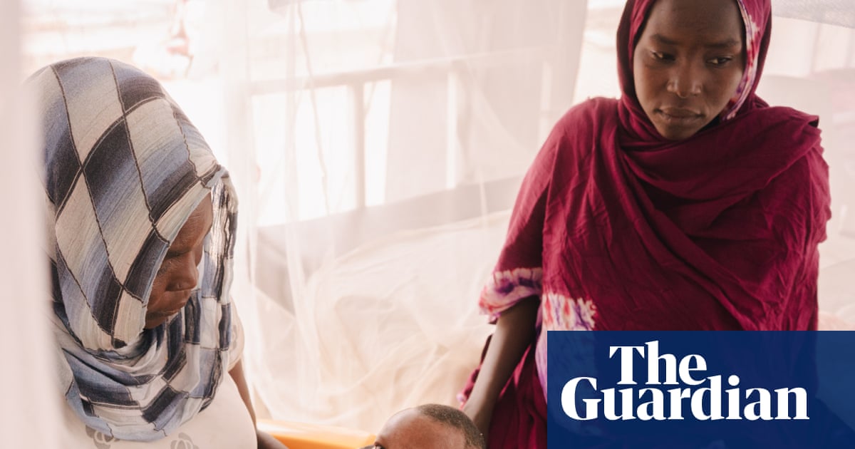 ‘I have searched and searched for help’: the Sudanese women left alone to live hand to mouth in Chad’s desert camps | Chad