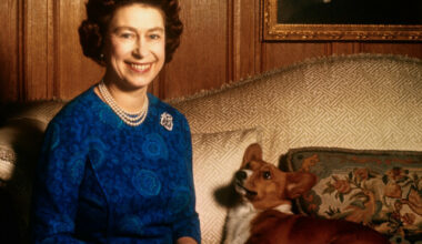Prue Leith remembers Queen Elizabeth's pride at inventing dorgi after royal pets hook-up