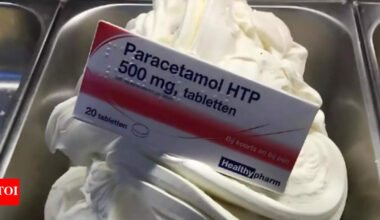 Fact check: Is the Netherlands selling Paracetamol-infused ice cream? |