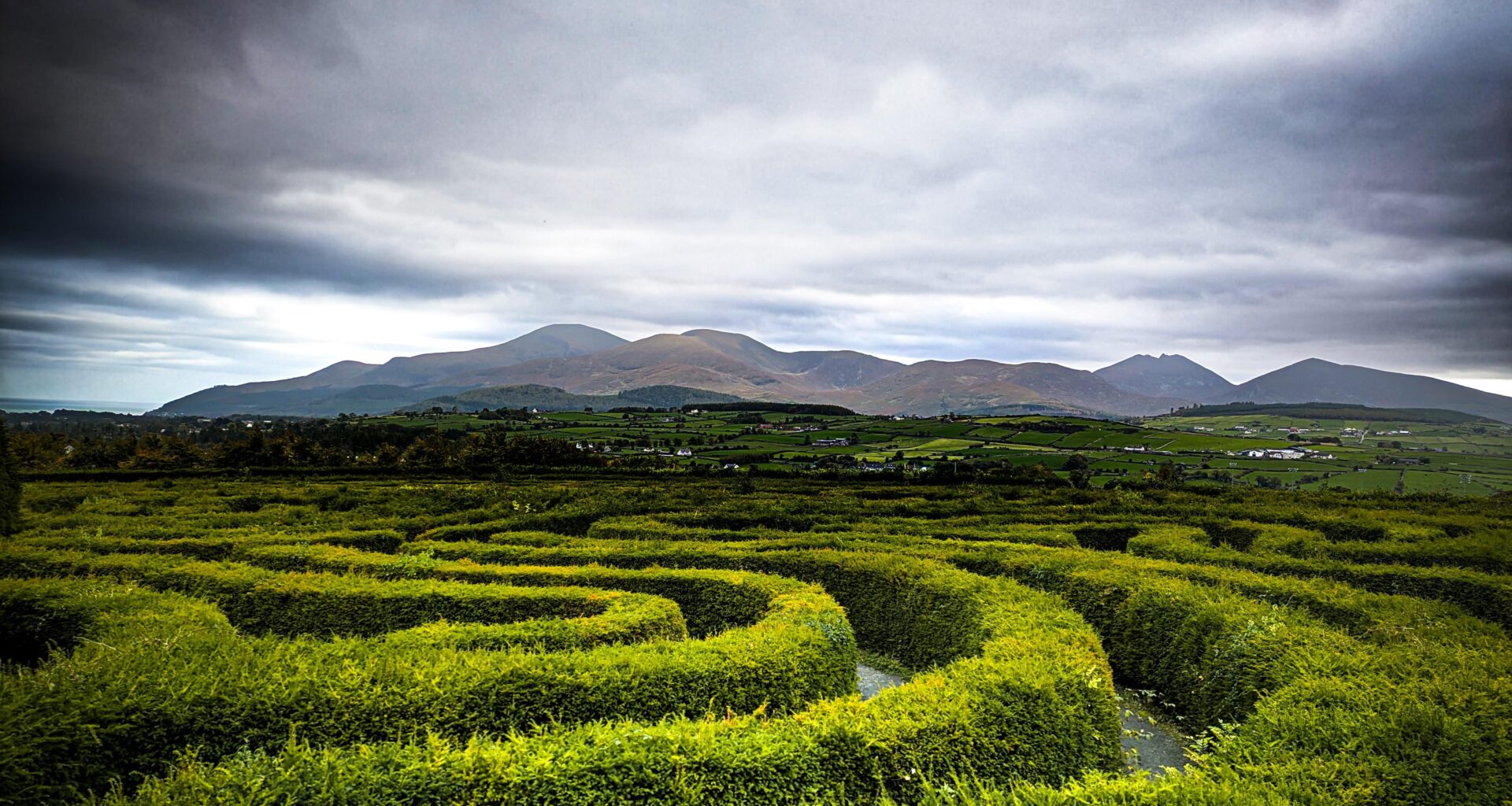 The Peace Maze, Castlewellan