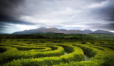 The Peace Maze, Castlewellan
