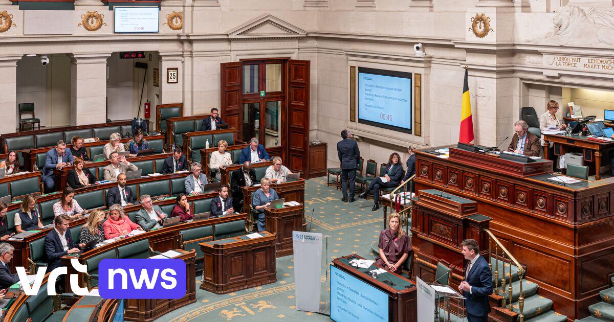 Politieke partijen kregen 83,7 miljoen euro aan subsidies in 2024. Politieke partijen betalen geen belastingen — maar wat als ze dat wel zouden doen?