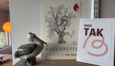 Jeg har doneret blod 100 gange, og fået min bloddonorpelikan. Mere af det.