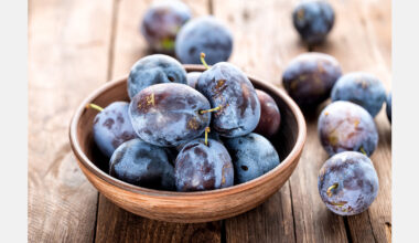 Moldovan plum exports to the EU set to increase fourfold in 2025