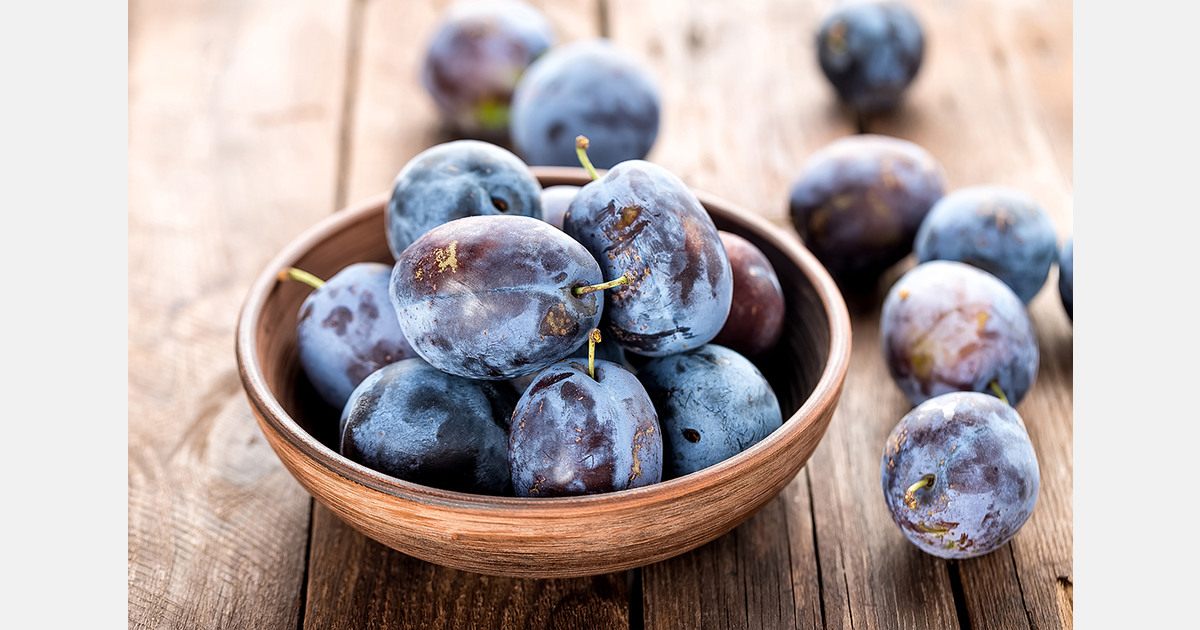 Moldovan plum exports to the EU set to increase fourfold in 2025