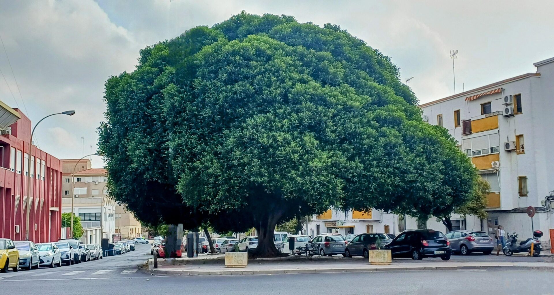 Huelva - verano 2025