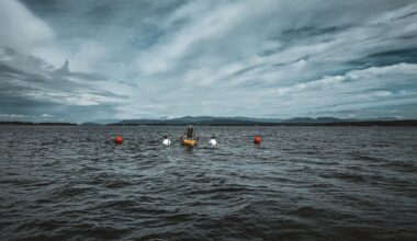 Small-scale wave energy converter deployed off Washington coast