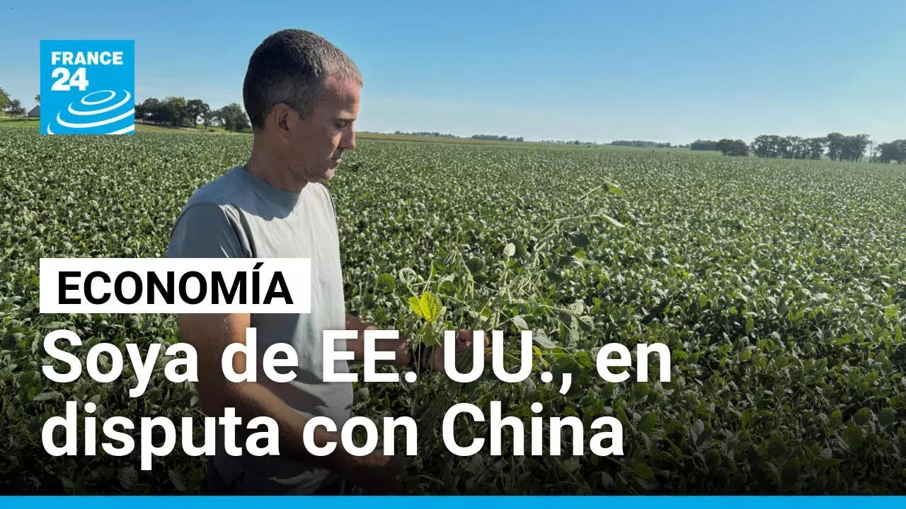 Soya, la nueva protagonista de la disputa comercial entre Estados Unidos y China • FRANCE 24