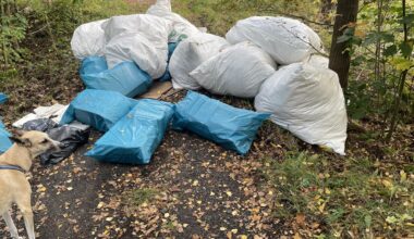 Schaut euch diesen Dreck an. Es ist unfassbar! Jeden Tag ein neuer Haufen mitten im Wald