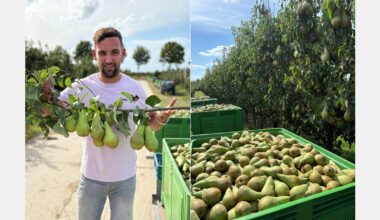 "Significantly lower top fruit harvest in Turkey creates opportunities for European exports"