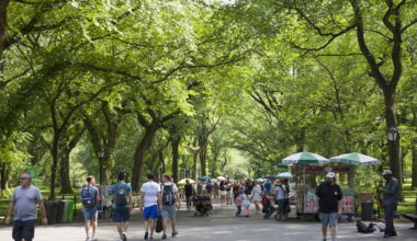 Climate change is delaying the arrival of spring in NYC parks, researchers find