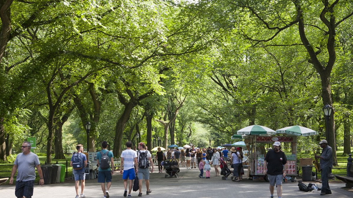Climate change is delaying the arrival of spring in NYC parks, researchers find