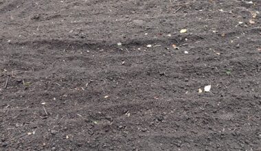 Zwei Spaten später ...