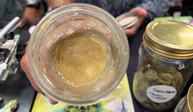 a jar of hash at hall of flowers new york