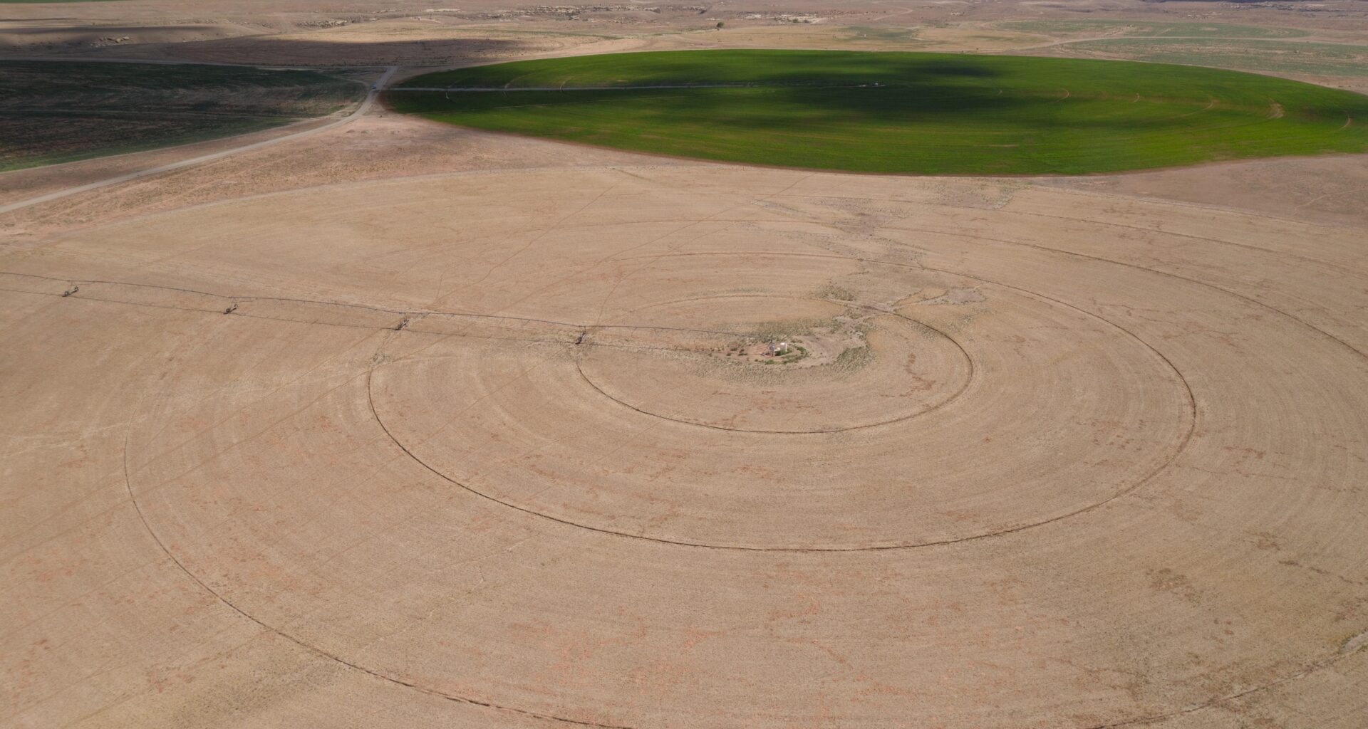 Farmers, ranchers cut back Colorado River water use while enduring one of the driest seasons on record