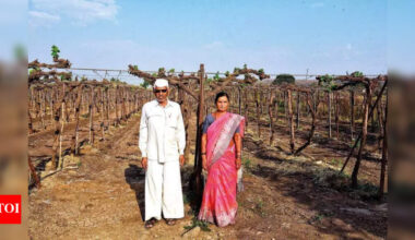 Elderly Junnar couple takes a chance with grapes, fruit now in Europe’s markets | Pune News