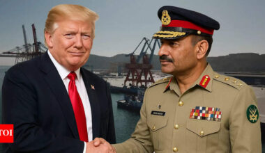 Pakistan has offered the US a port to run. What does it mean for India?