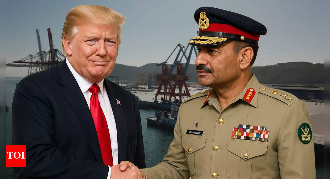 Pakistan has offered the US a port to run. What does it mean for India?