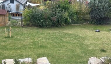 Tipps zur Rasen-Rettung?