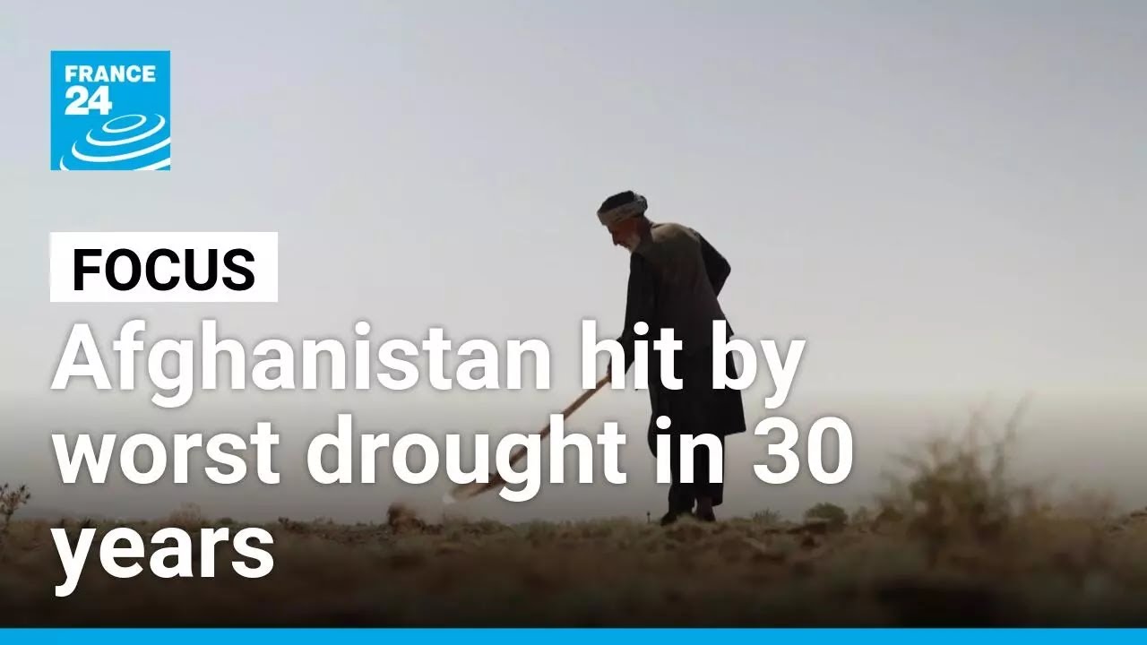 Afghanistan hit by worst drought in 30 years • FRANCE 24 English