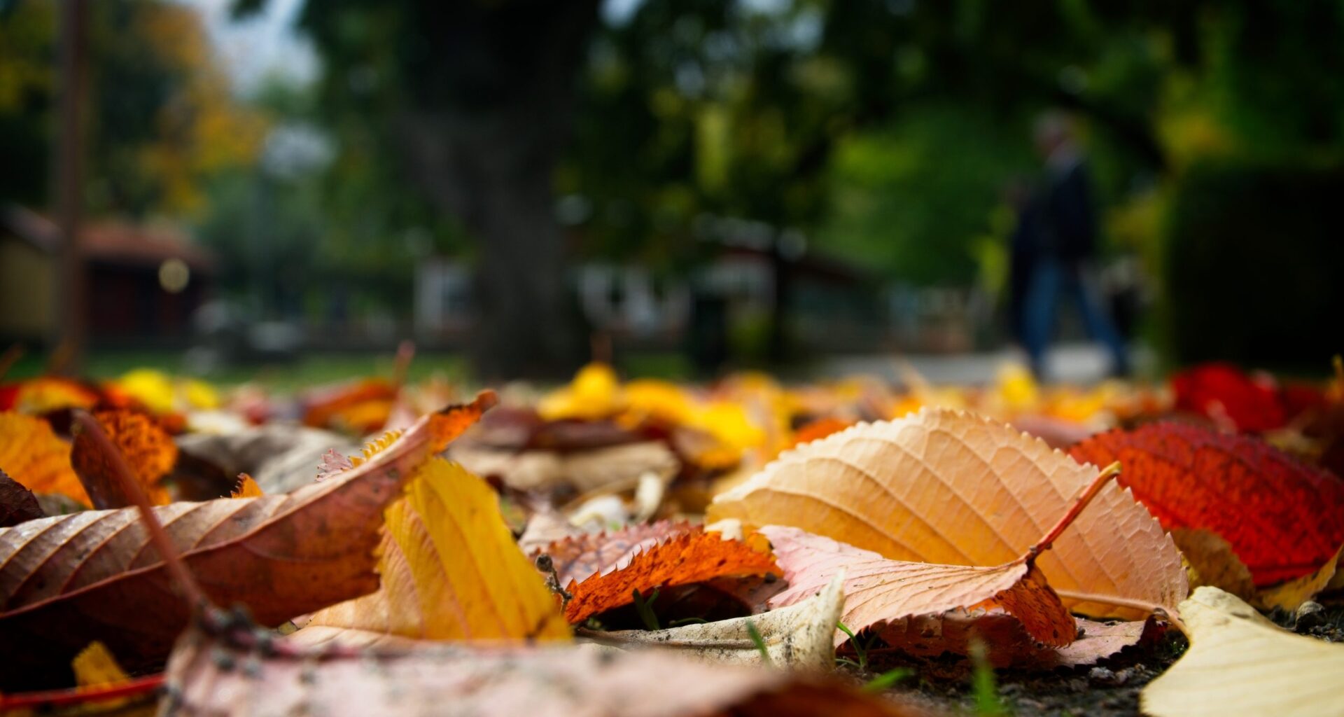 Vreme normală termic și predominant închisă, în Dobrogea și pe litoral - Știri Constanța - Radio Constanța